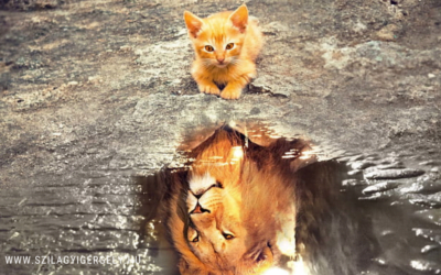 A macska, aki oroszlán akart lenni