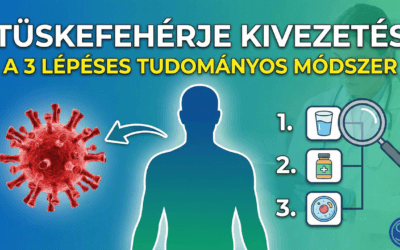 Tüskefehérje Kivezetés: A 3 Lépéses Tudományos Módszer a Fáradtság és Agyi Köd Ellen