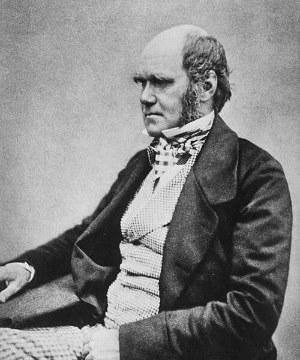 Charles Darwin portréja