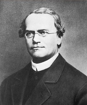 Gregor Mendel portréja